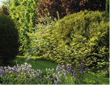 Nutrition information