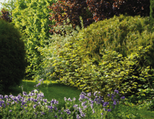 Nutrition information