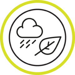 Raincloud and leaf icon, representing the autumn and winter months which may contribute to a lack of vitamin D