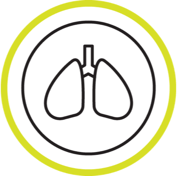 Lung icon representing the Disease information section of the page