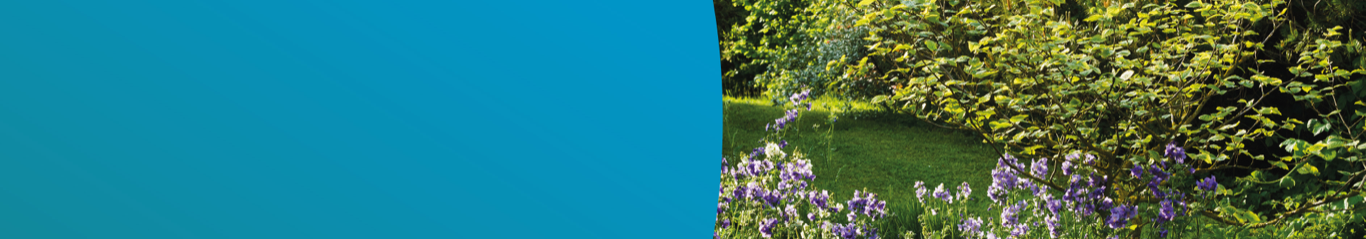 Flowers and greenery, representing the Picnic Area page, for nutrition and dietary information on the PPF support space