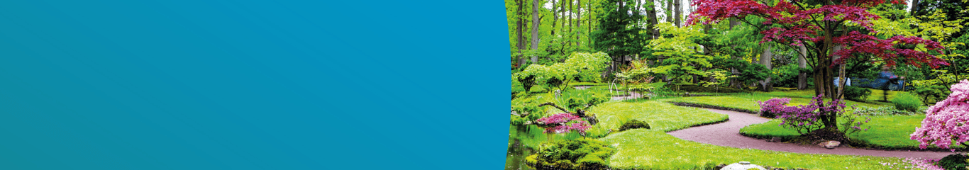 Stream running through a Japanese garden with red and green leafed trees, representing the Zen Garden: Well-being and Mental health page of the website
