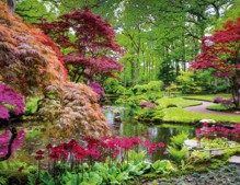 Stream running through a Japanese garden with red and green leafed trees, representing the Zen Garden: Well-being and Mental health page of the website