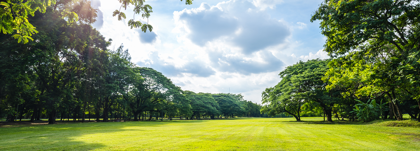 Exercise area banner