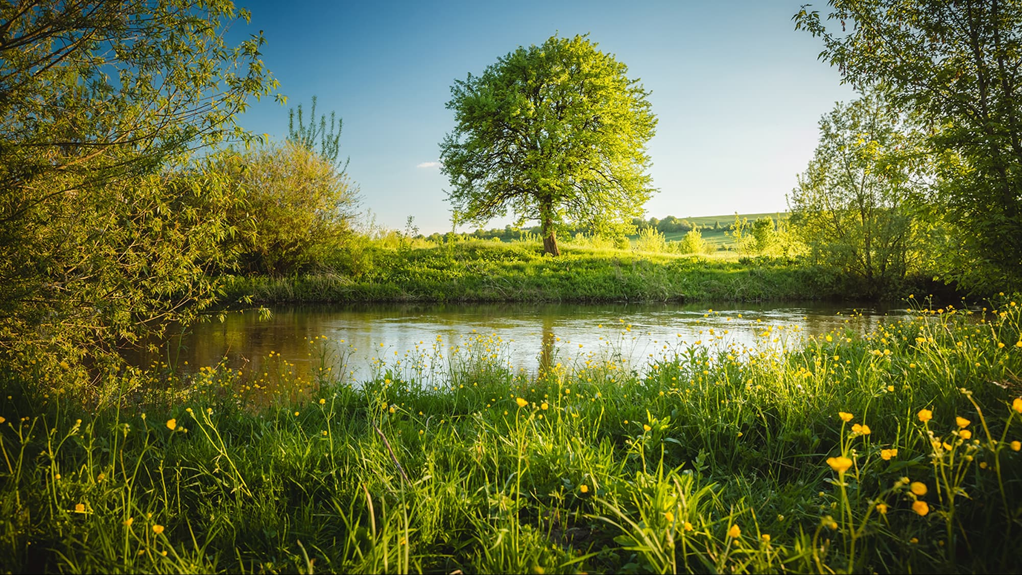 Information centre banner
