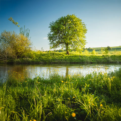 Information centre icon
