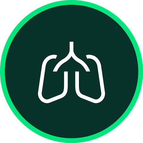 Lungs icon