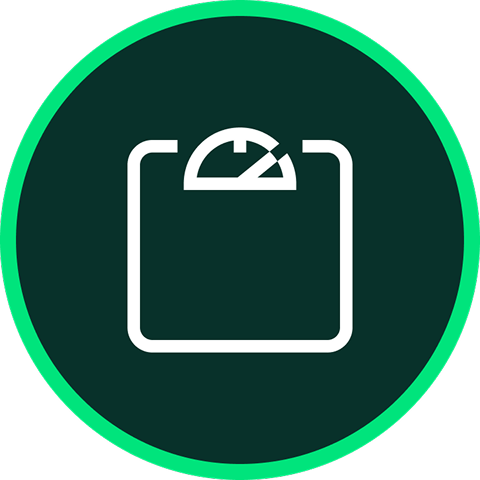 Weight scales icon