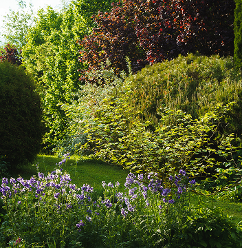 Nutrition information